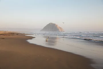 Fotobehang Foggy sunset with birds and rock reflecting on wet sandy beach in Morro Bay, California  © Attila Adam