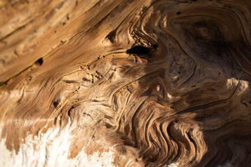 Moody golden swirled driftwood texture