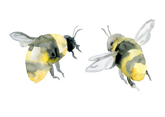 small watercolor realistic bees isolated on white