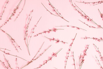 Beautiful flowers composition. Pink flowers on pastel pink background. Flat lay, top view