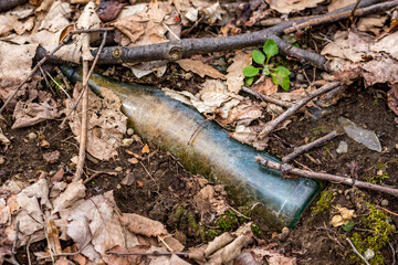 Glass bottle, garbage left in the forest with plant roots growing inside of it. Human waste, concept of pollution. Late winter daytime. Brown leaves around