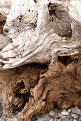 White and brown driftwood texture