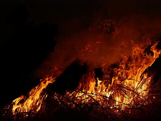 The fire burns rice straw and hay in the field at night.