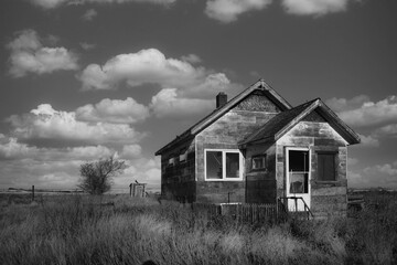 An abandoned farm house in tall weeds in a black and white summer landscape