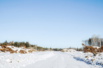 A deserted logging road winding through the forest between brush piles in an afternoon sunny winter...