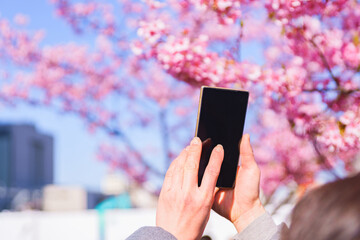 花見　スマホ　撮影　【ウィズコロナのニューノーマル】