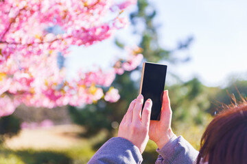 花見　スマホ　撮影　【ウィズコロナのニューノーマル】