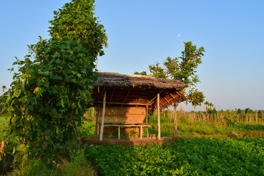 Bamboo hut in a farm of village at the feet of Mount Rinjani, Lombok, Indonesia.