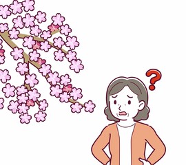お花見をする人