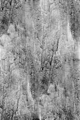 Obraz premium Macro Black Watercolor Series on paper