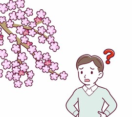 お花見をする人