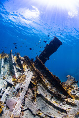 Naklejka premium The Rhône wreck