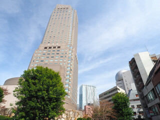 渋谷区桜丘町　セルリアンタワー周辺