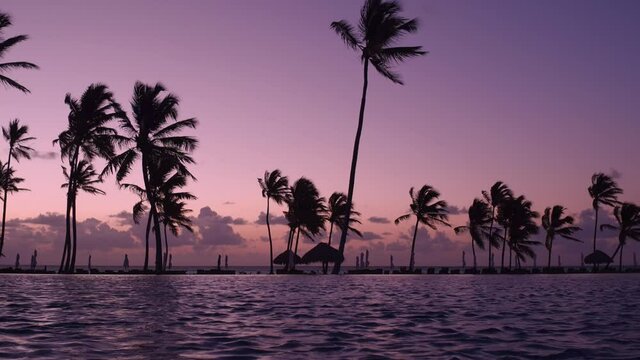 Infinity pool at sunrise. Silhouettes of palm trees on a background of pink sky