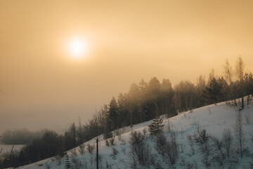 thick impenetrable fog covers the world around us in a mysterious frosty winter morning