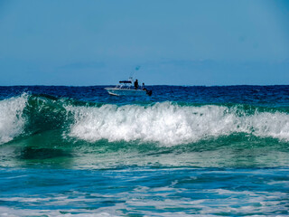 Naklejka premium Fish Past The Surf