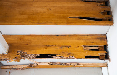 House stairs that were bitten by termites. The wood was broken because it was destroyed by termites.