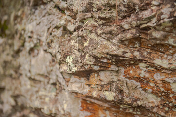 Rock pattern with beautiful colours and detail