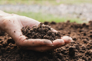 Hand holding fertile soil for plant to growing in nature agriculture concept.