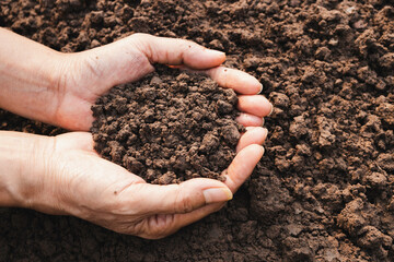 Hand holding fertile soil for plant to growing in nature agriculture concept.