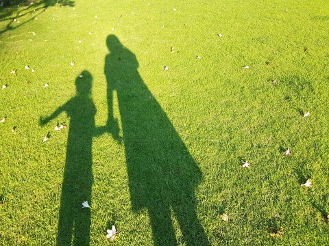 The blurred shadow of mom and little daughter holding hand on green grass. And on the lawn have flowers fall down.
