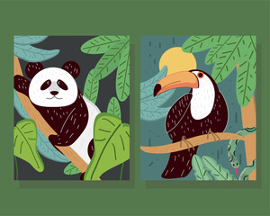 tropical panda toucan © Stockgiu
