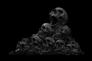 Pile of skulls and bone on dark background / Still life style