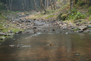 Obraz na płótnie Canvas creek water stream flowing in forest