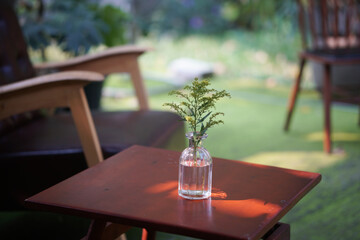 green plant leaves in pot decorating at cafe