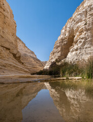 Fototapeta na wymiar Panoramic view of Ein Avdat - a canyon in the Negev Desert of Israel