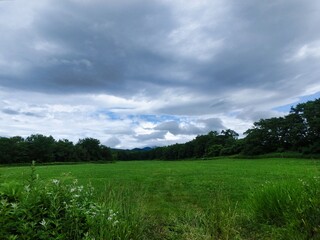北海道の草原