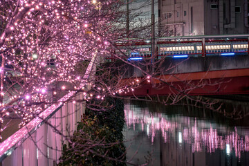 東京都目黒区、年末年始のライトアップ、御成橋１