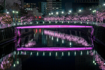 Fototapeta na wymiar 東京都目黒区、年末年始のライトアップ、森永橋
