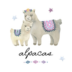 cute alpacas, llamas, watercolor llamas cliparts,funny llama print, scandinavian style, llama and alpaca drawing, cute animals
