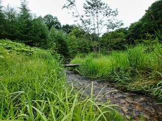 北海道の小川の流れ