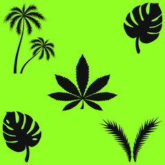 Fototapeta na wymiar Set of black silhouettes of tropical leaves of palm trees