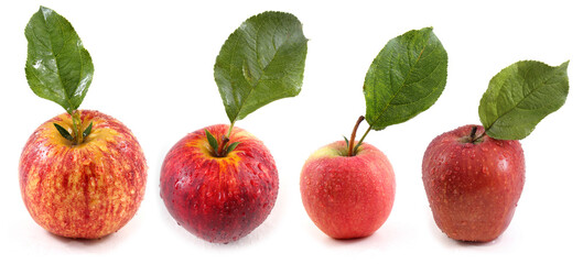 Apples with leaves set