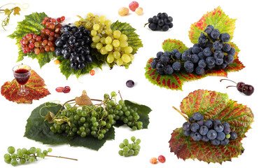 Autumn grape harvest set