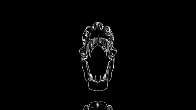 T-Rex Skull Loop 05 - A squad of T-Rex skulls flies at the viewer and at the last moment dodges from the camera.
