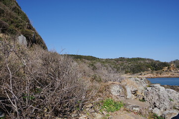 静岡県南伊豆爪木埼の海と浜の風景

