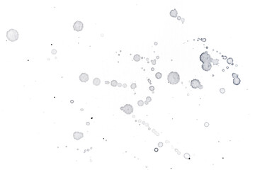 abstract black splashes on white watercolor paper. monochrome image.