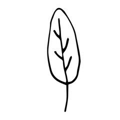 Leaf. Vector illustration. Freehand drawing. Doodle. Black and white outline. Silhouette. Coloring.
