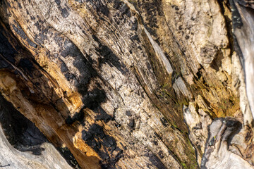 texture