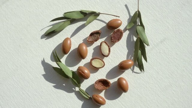 Argan seeds on a white background. Argan oil based cosmetics concept