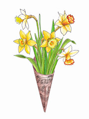 Watercolor illustration of a bouquet of yellow and white daffodils in a paper cone bag with drawn notes isolated on a white background