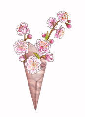 Watercolor illustration of sprigs of blooming pink plum in a paper cone bag isolated on white background