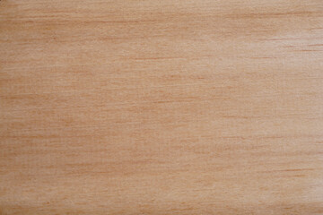 Light wood plank texture background with copy space for design or text. High quality for your work. concept of wallpaper or website. Top view natural materials