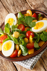 Fresh salad of lupine beans, eggs, tomatoes and Valerianella locusta close-up in a plate on the table. vertical