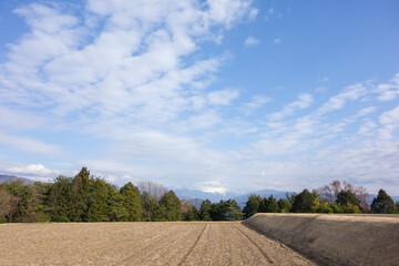 Fototapeta na wymiar 春の空と田畑の風景