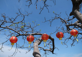 Red lanterns are used to decorate important Chinese festivals.